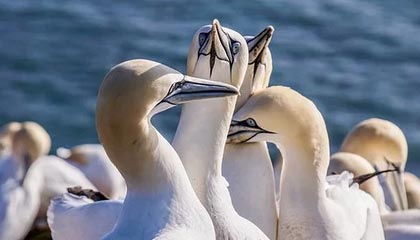 乐鱼体育-九游登录中心：一键入场，安全护航的游戏新体验