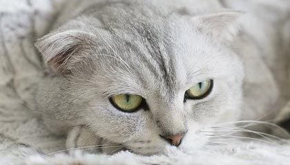 乐鱼体育-九游登录中心：一键入场，安全护航的游戏新体验